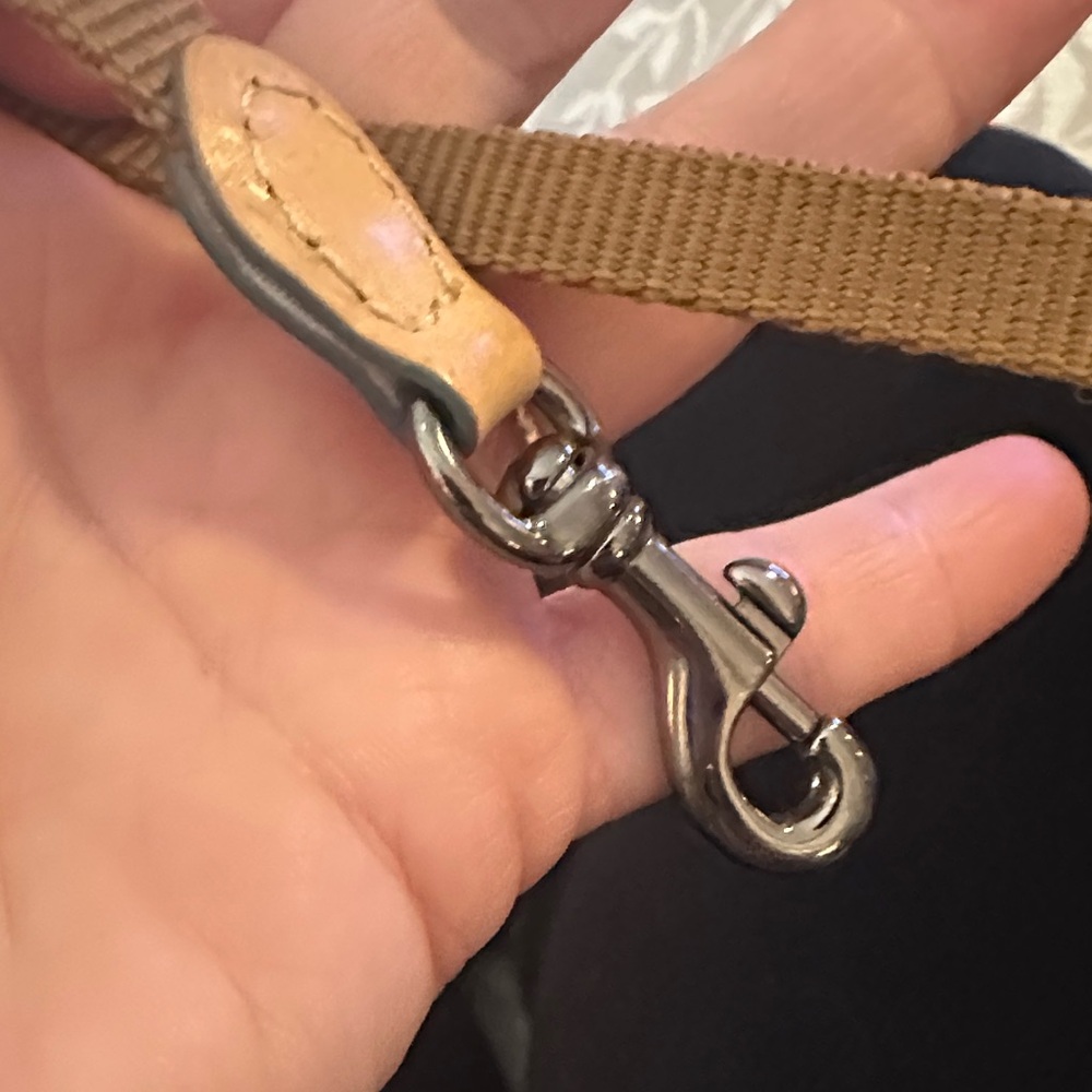 Dooney & Bourke Disneys Zip Zip Sketch Satchel! - Picture 7 of 11